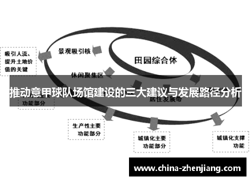 推动意甲球队场馆建设的三大建议与发展路径分析