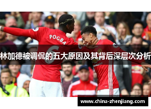 林加德被调侃的五大原因及其背后深层次分析