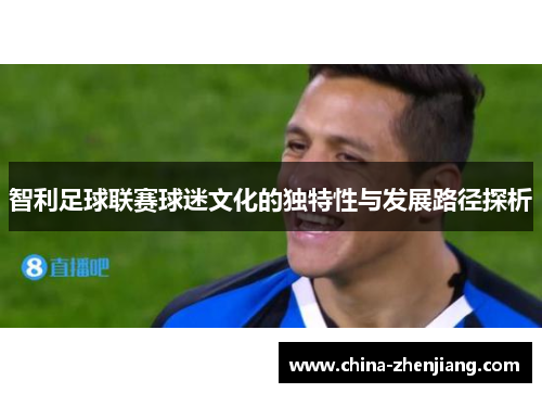 智利足球联赛球迷文化的独特性与发展路径探析